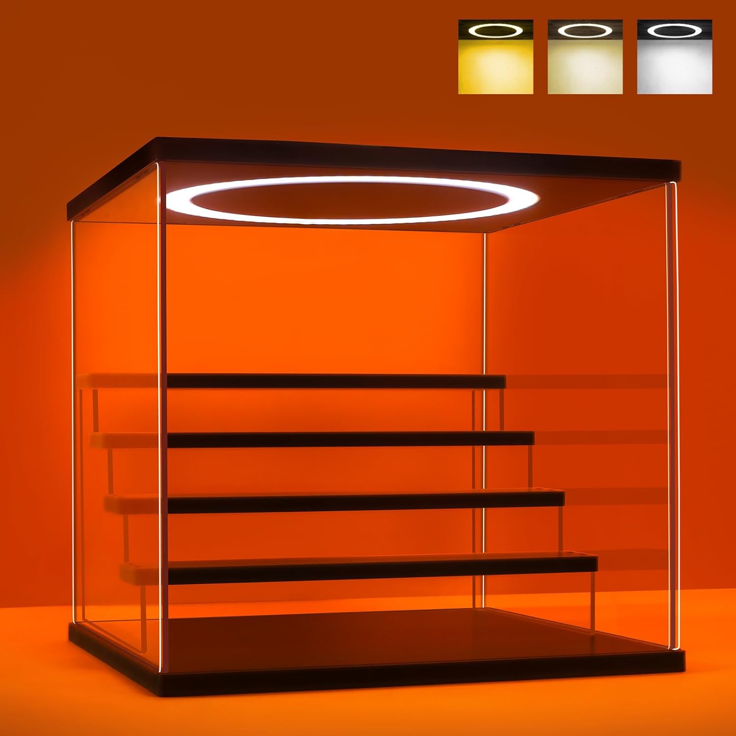 Acrylic Display Case with Adju - Lighting & Home Decor Studio reseña y precio