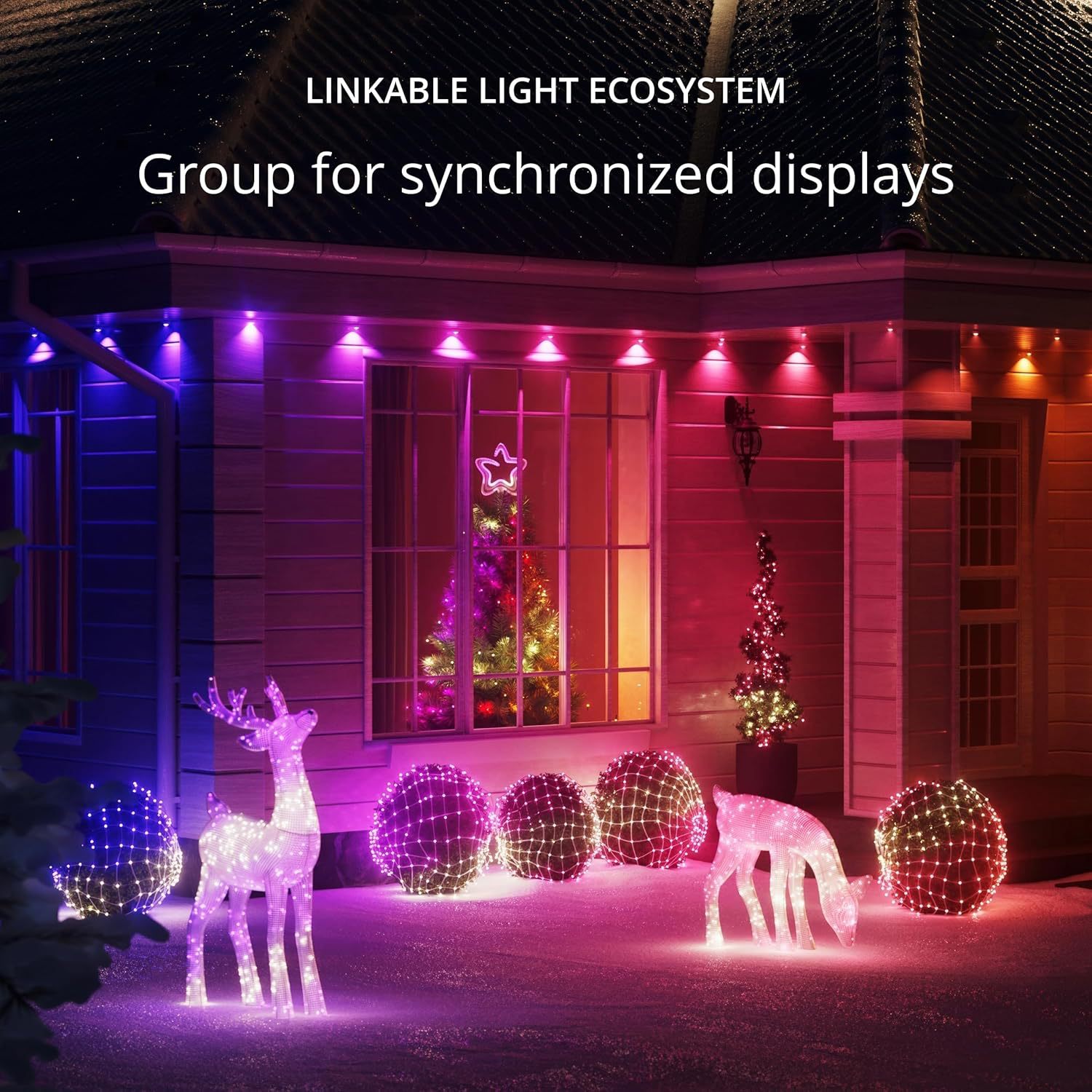LED Net Mesh Fairy Curtain Lig - Fairy Light Curtain reseña y precio