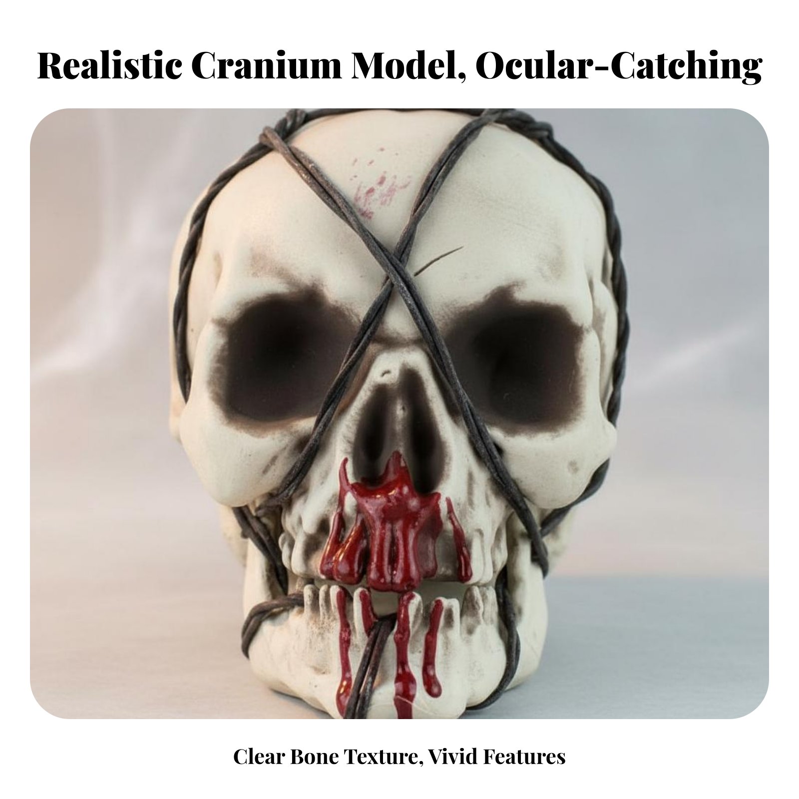 Realistic Skull Model Horror T - Home Lighting & Decor St Catharines On reseña y precio